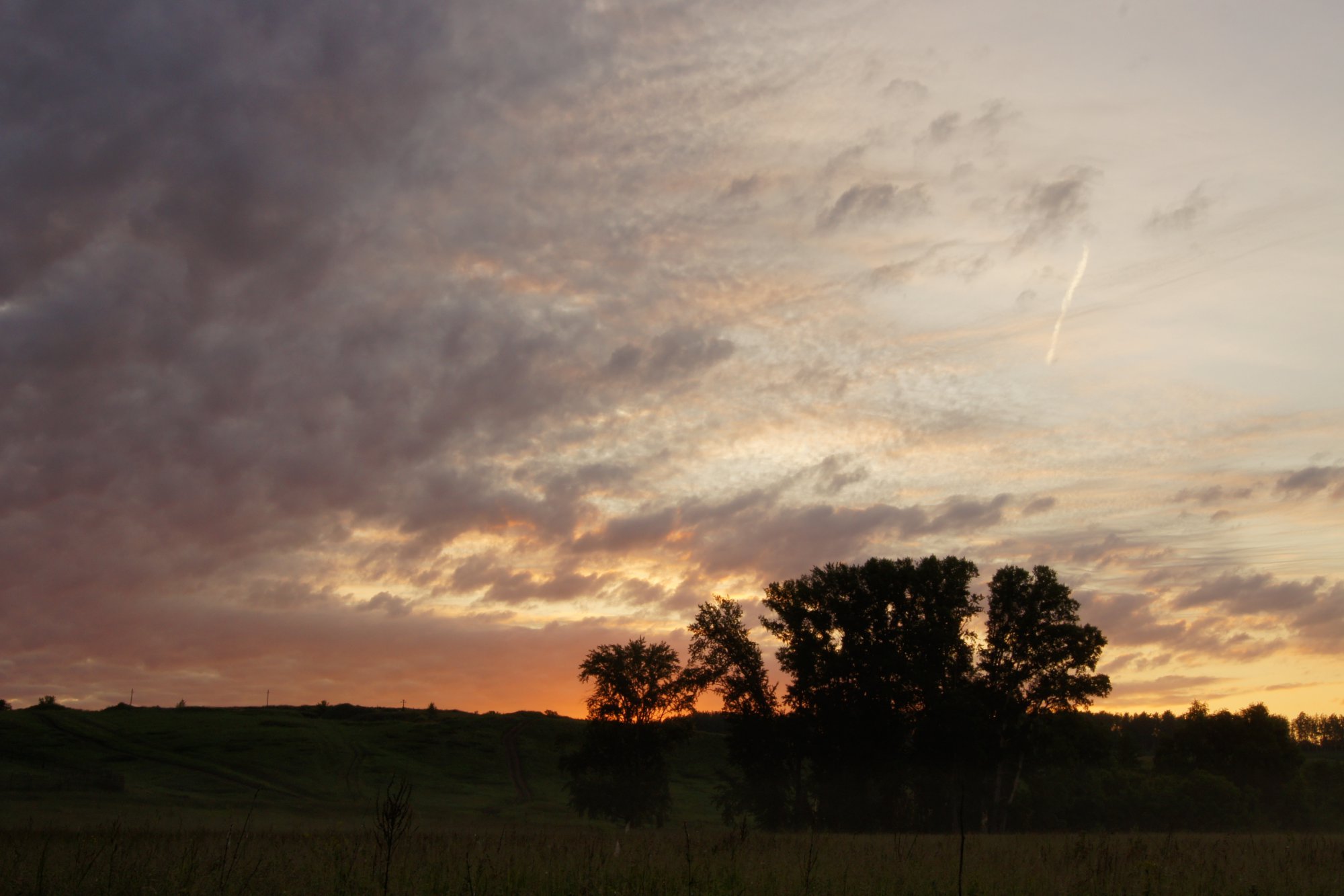 DSC08675.JPG
