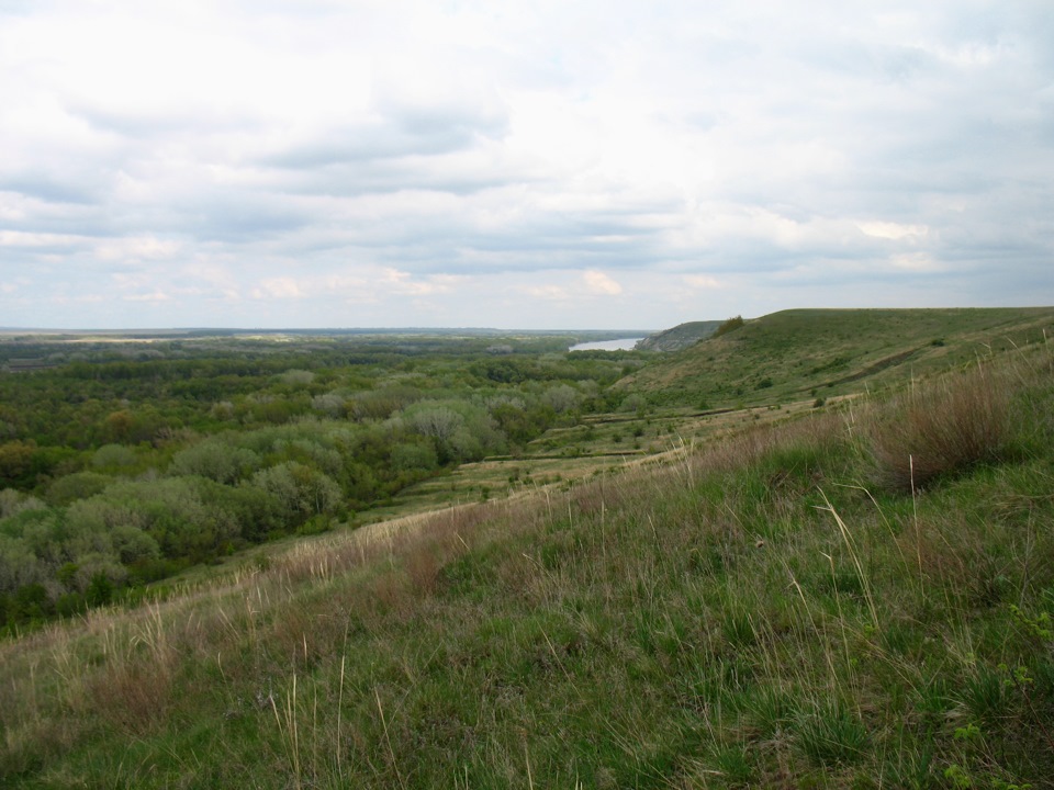 6a8d1d4s-960.jpg