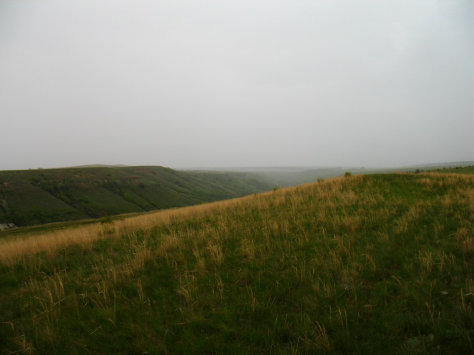 104d1d4s-960.jpg