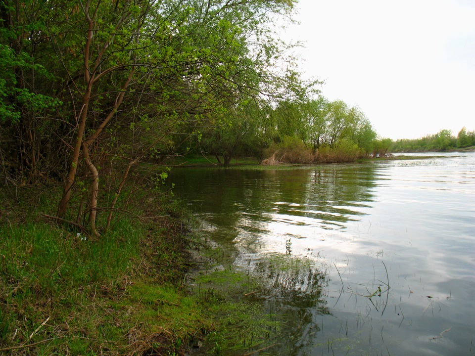 258d1d4s-960.jpg