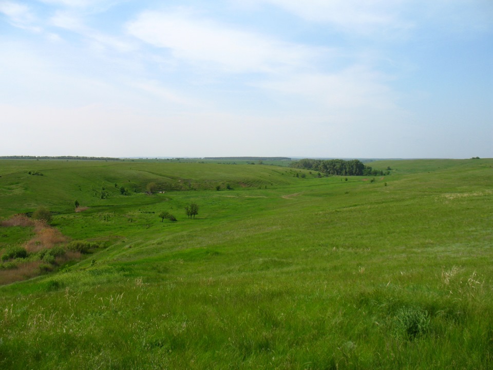 08.jpg