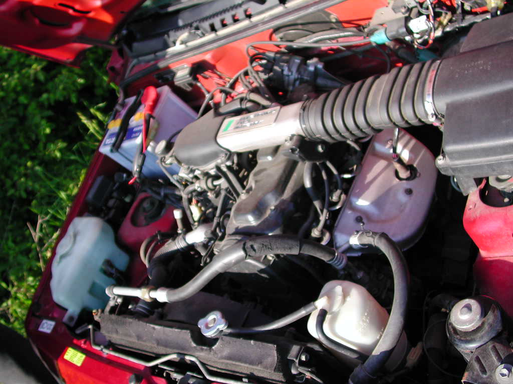 DSCN1195.JPG