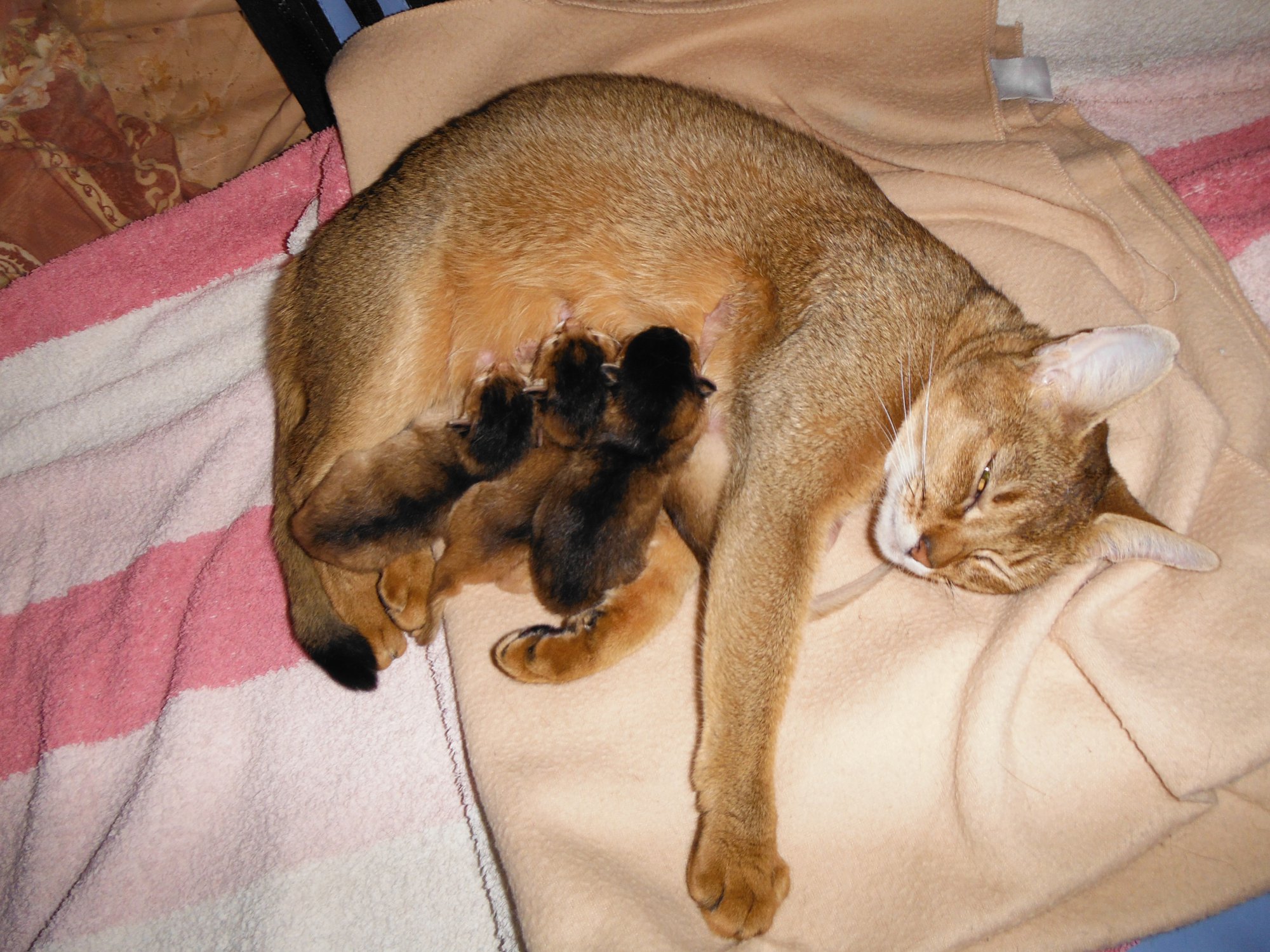 DSCF2907.JPG