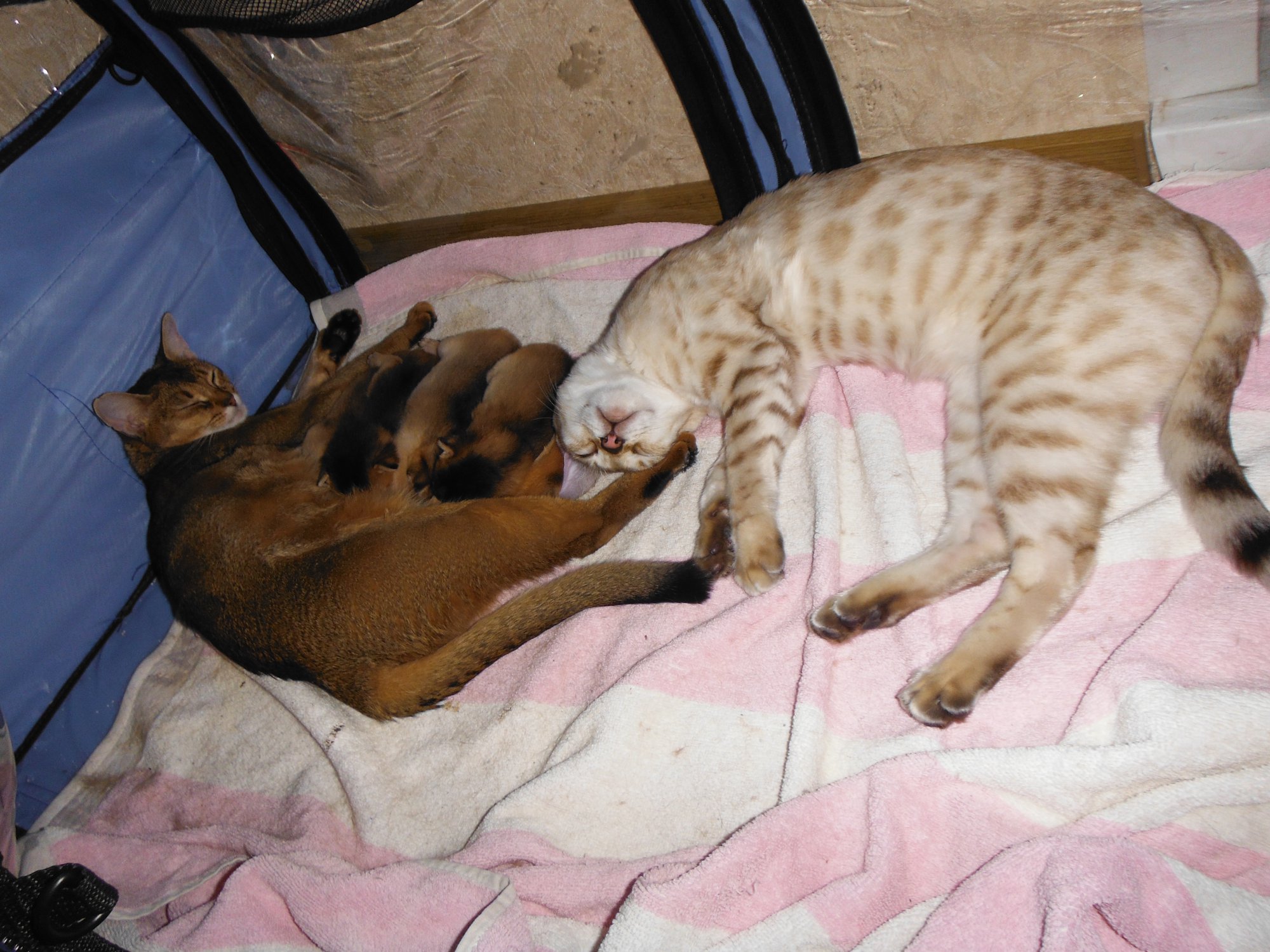 DSCF2931.JPG