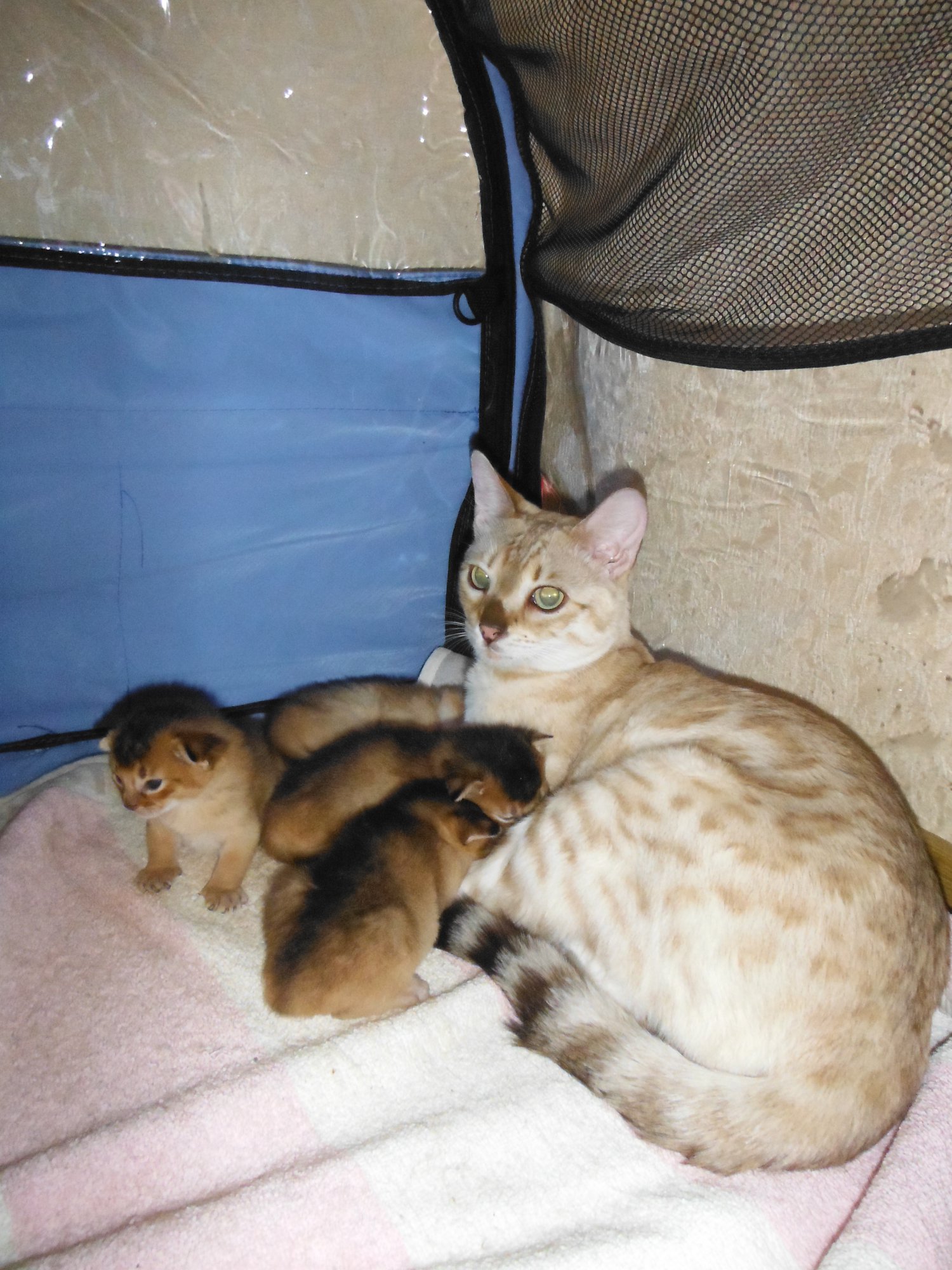 DSCF2930.JPG
