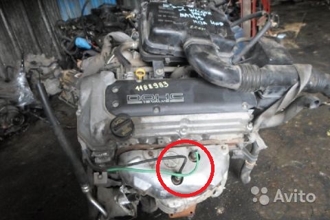 1036962954.jpg