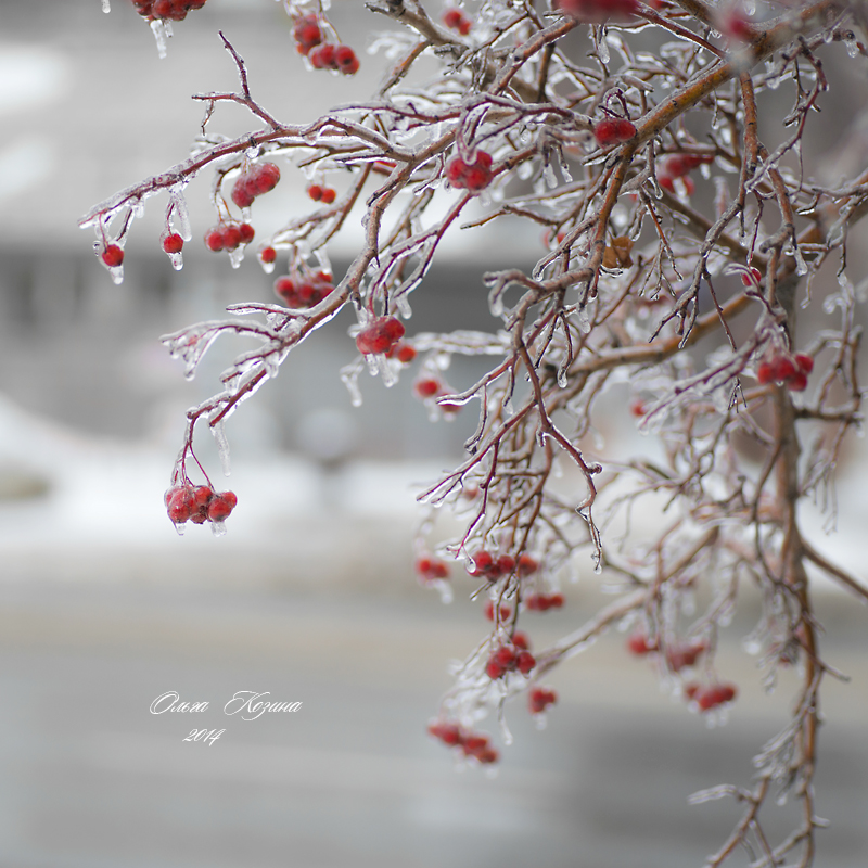 DSC_6084.JPG