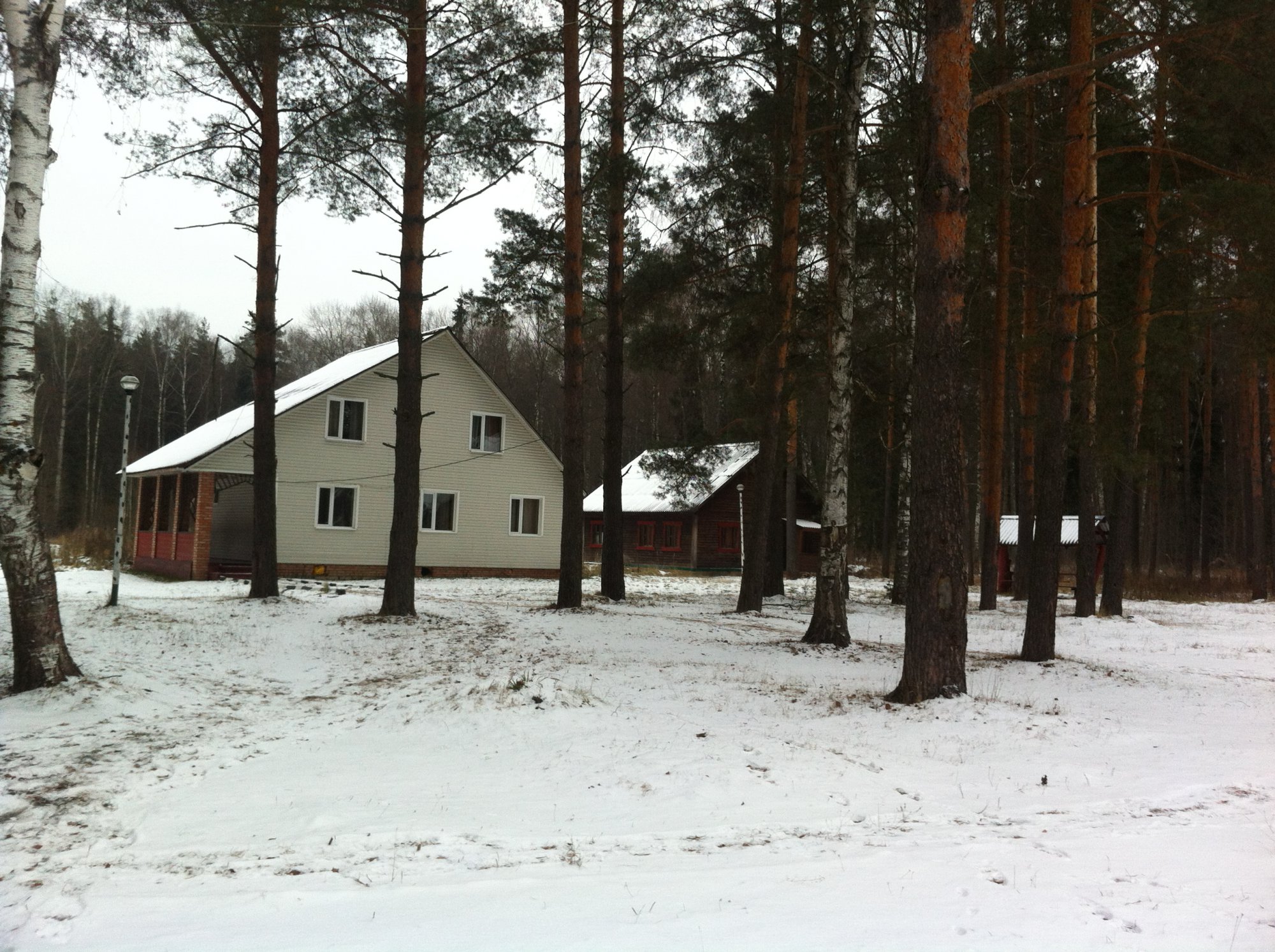 IMG_1384.JPG