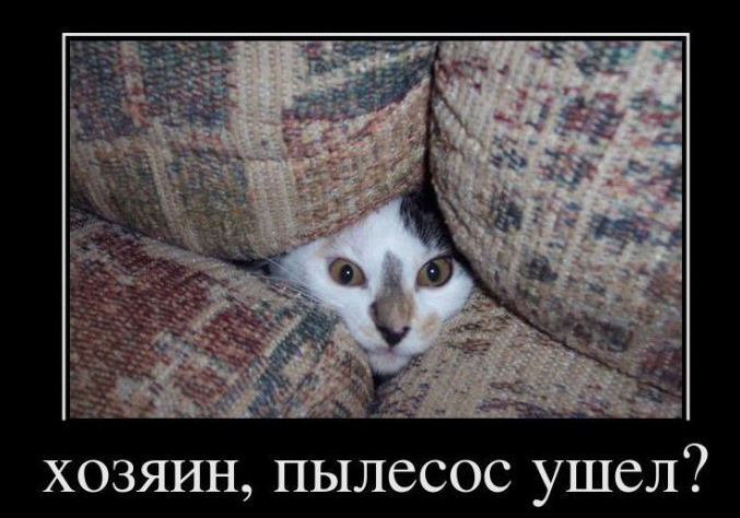 Снимок экрана 2015-05-13 в 11.40.15.png