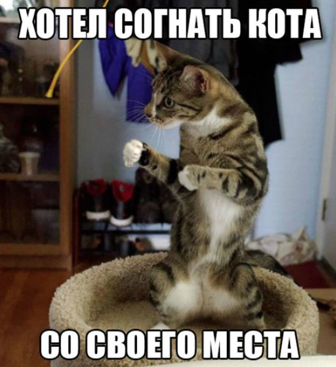 Снимок экрана 2015-05-20 в 14.41.27.png