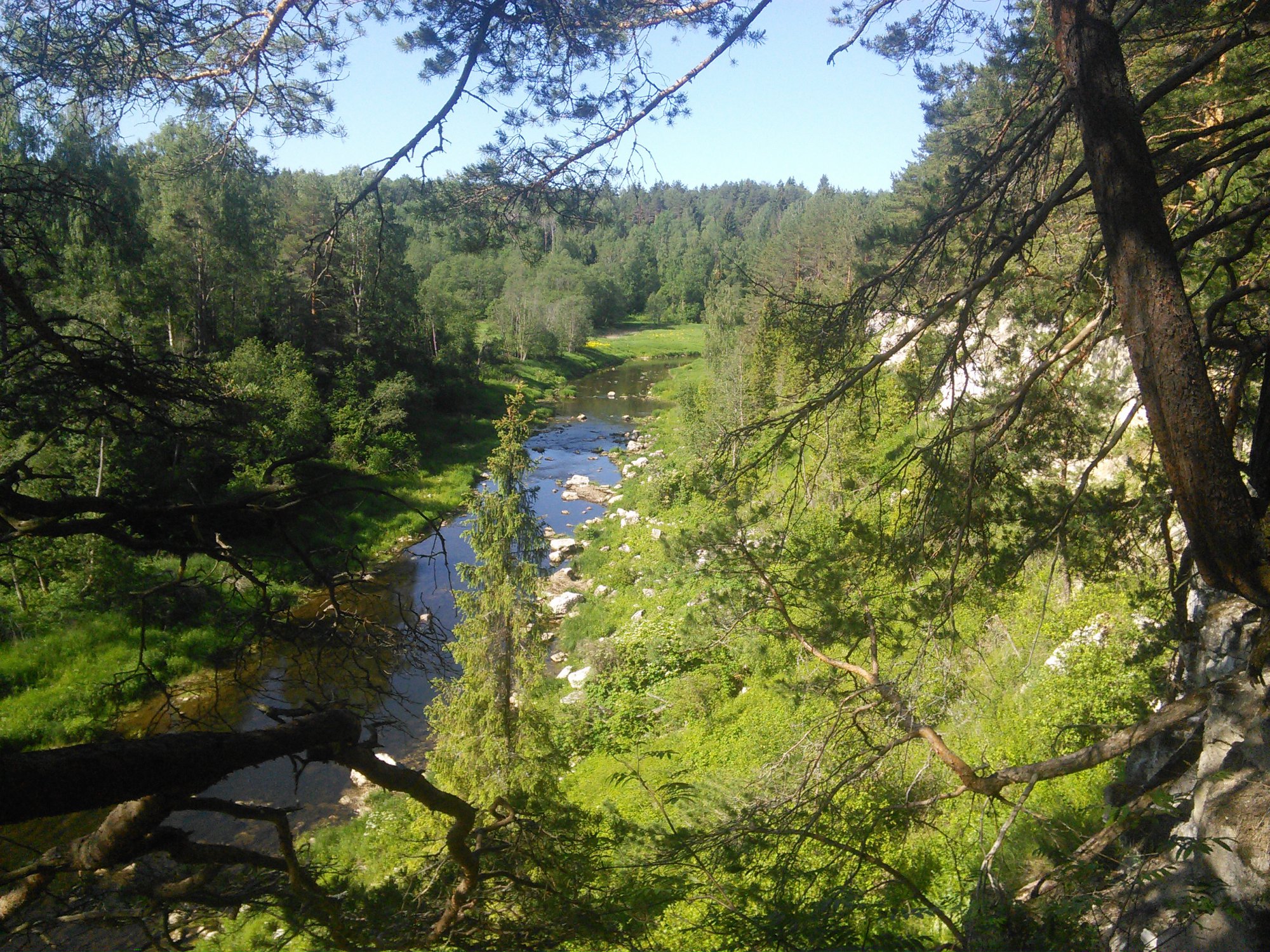 IMG_20150612_091129.jpg