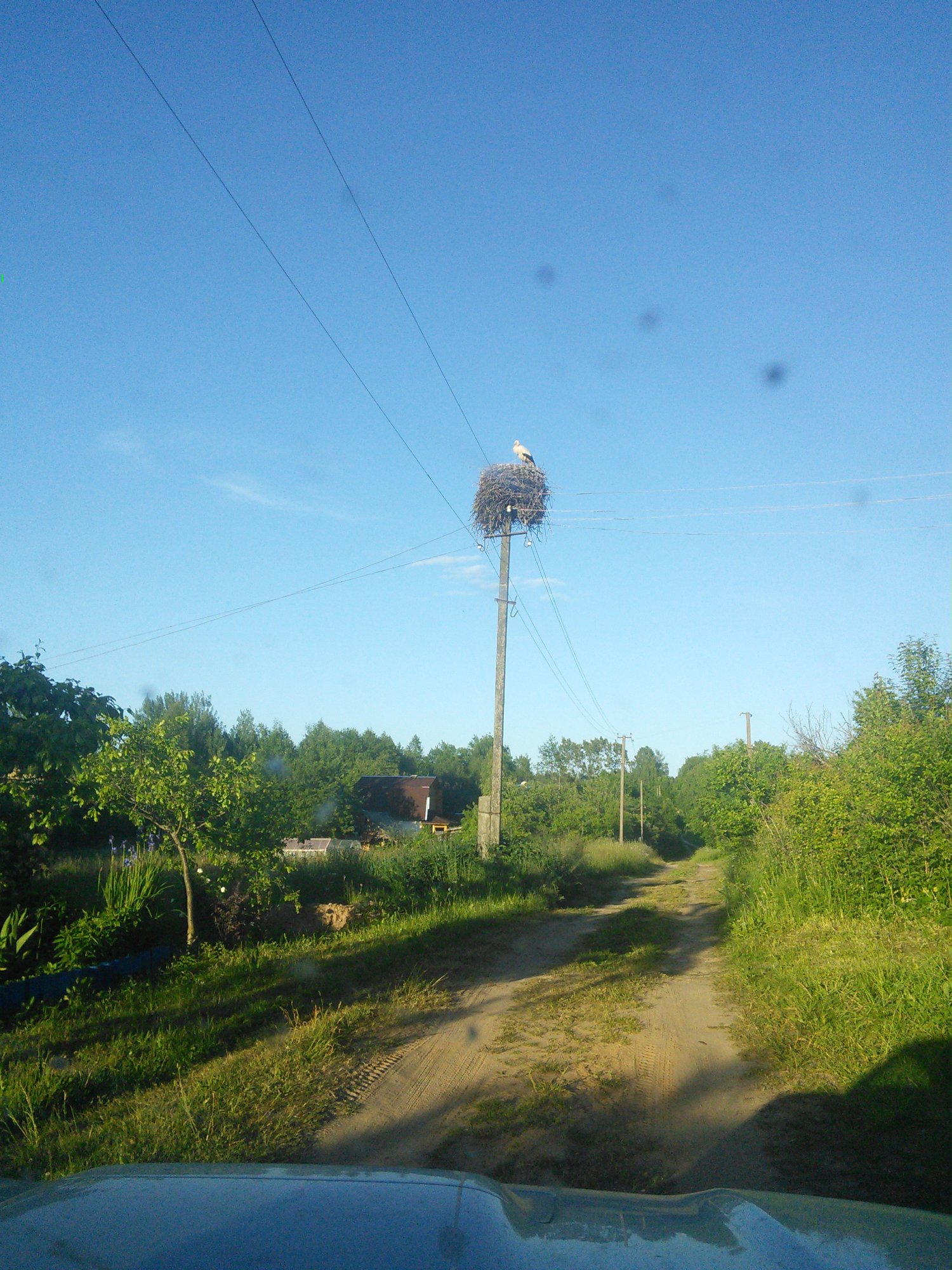 IMG_20150612_201248.jpg