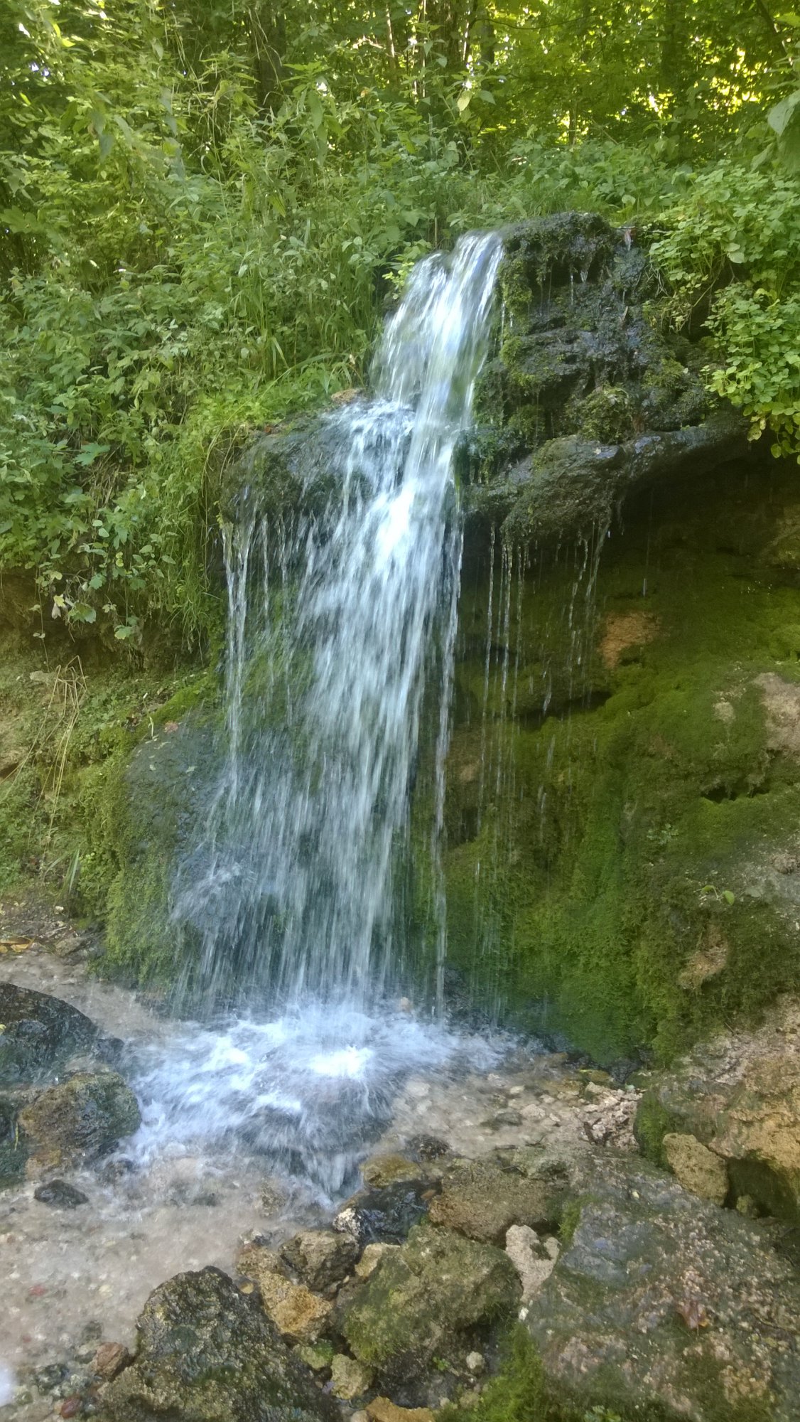 WP_20140816_002.jpg