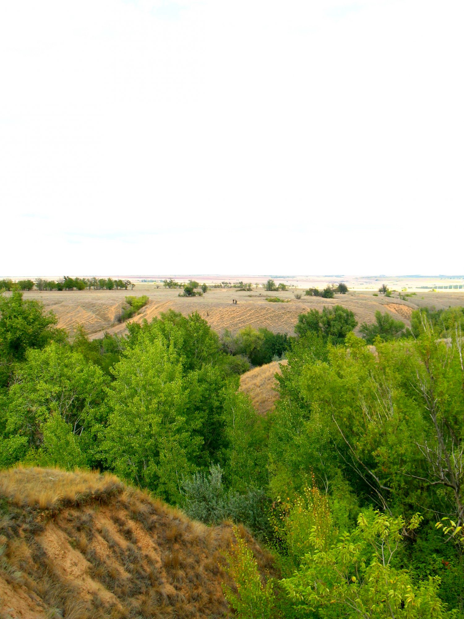 Пластунская тропа - 12_09-2015 (175).JPG