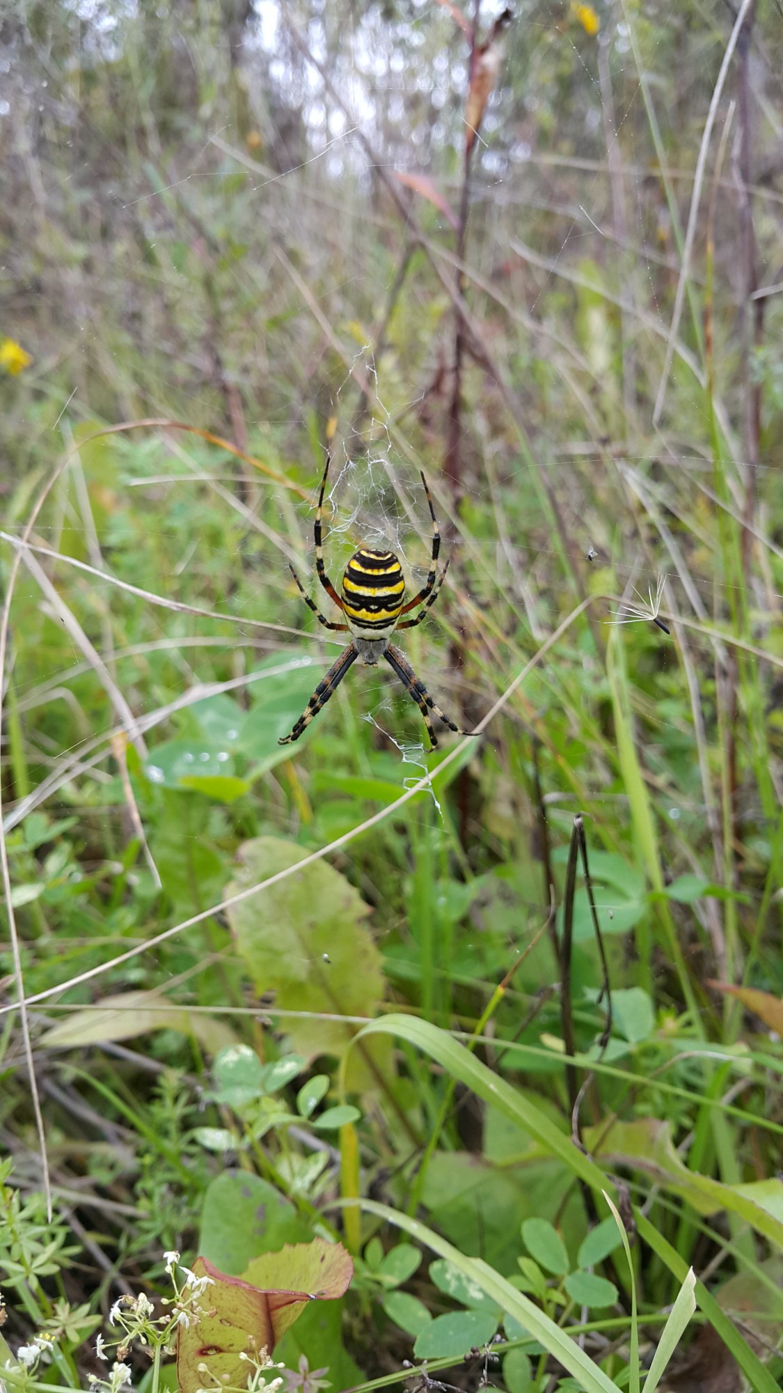 20150912_122442.jpg
