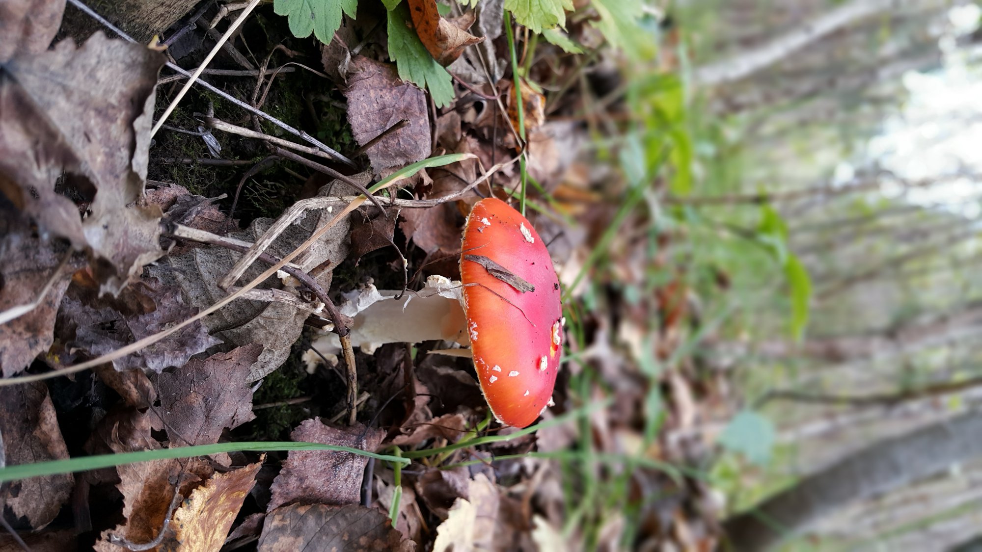 20150913_122038.jpg