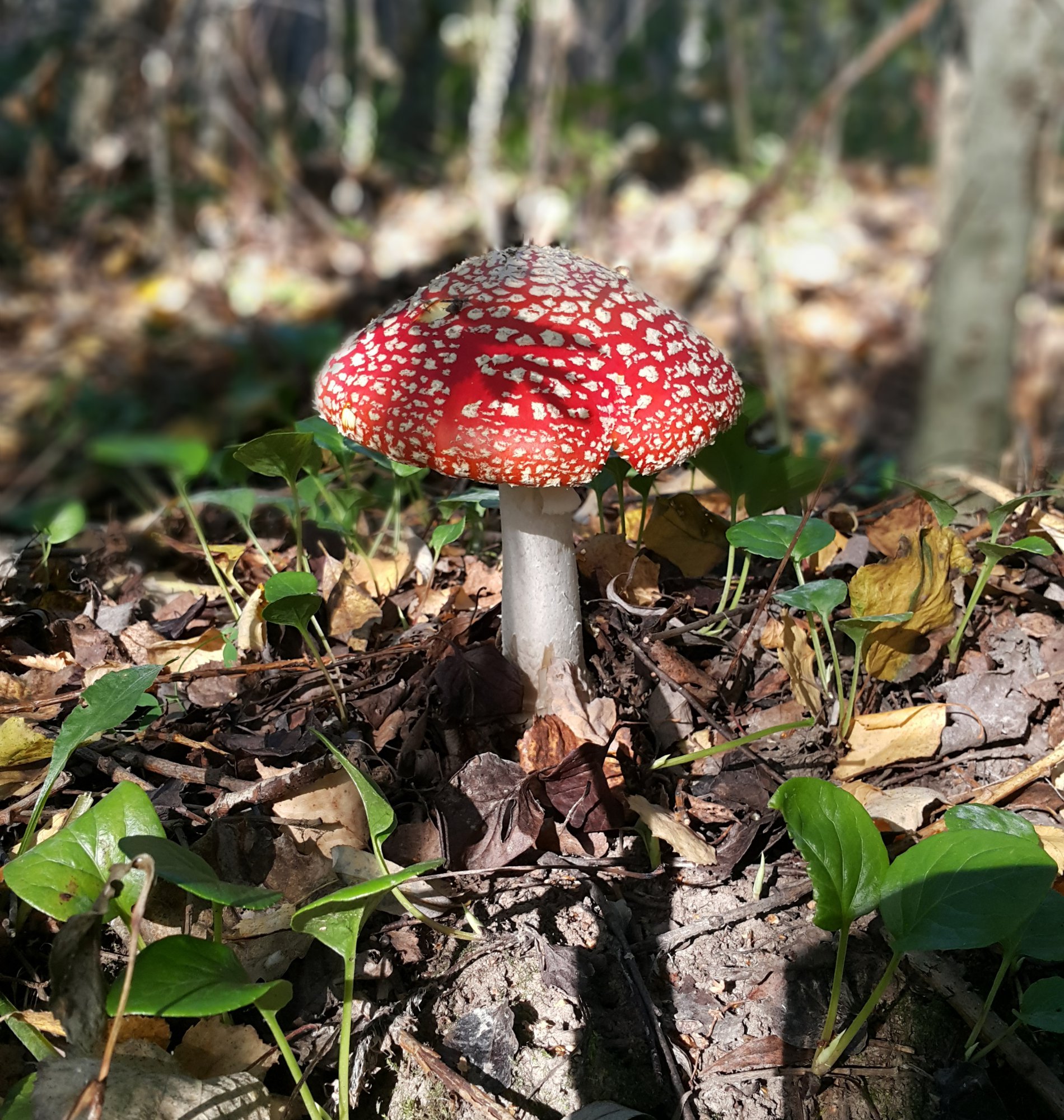 20150919_152024.jpg