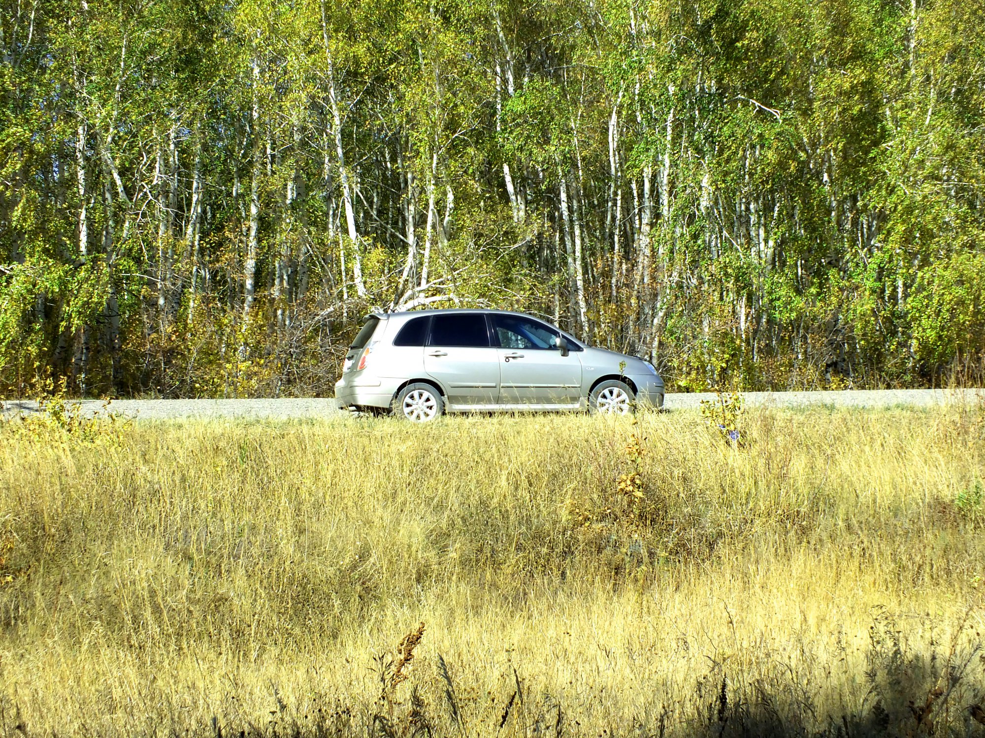 DSCF3454.jpg