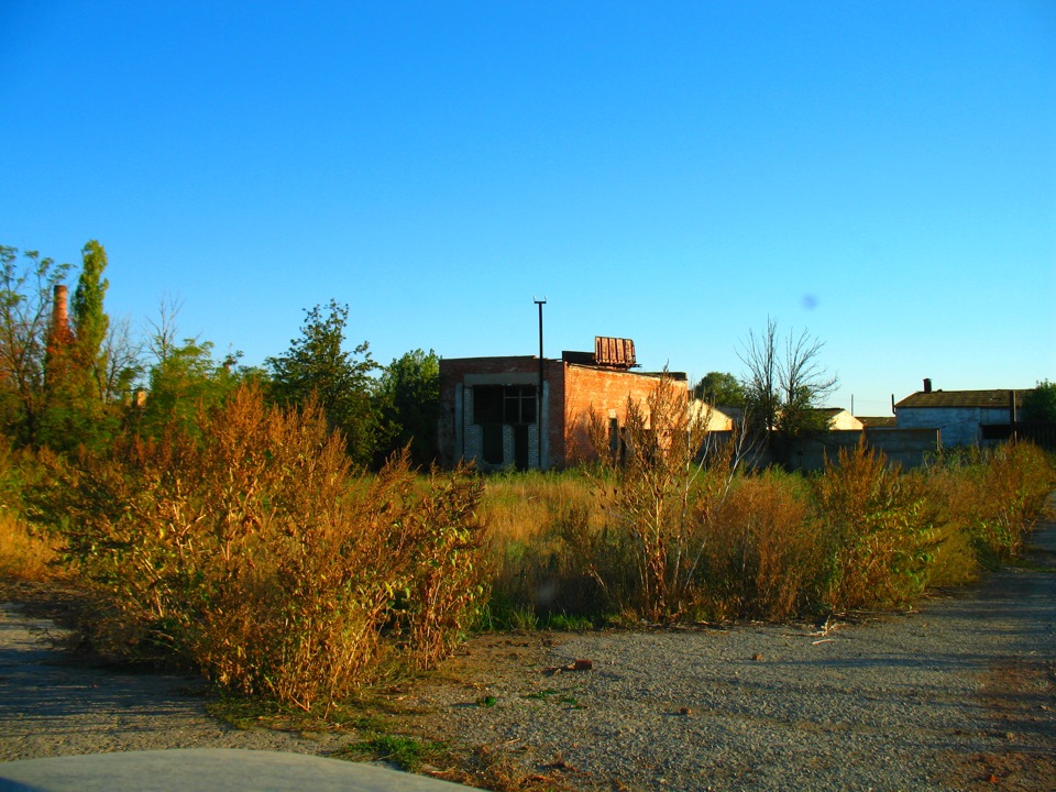 04.jpg