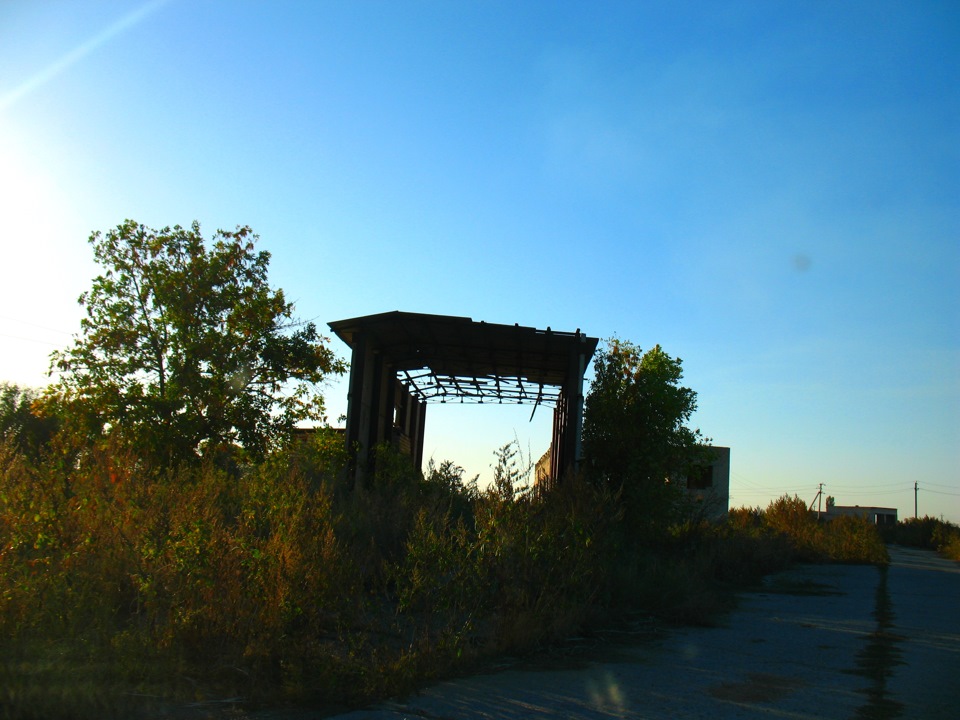 05.jpg