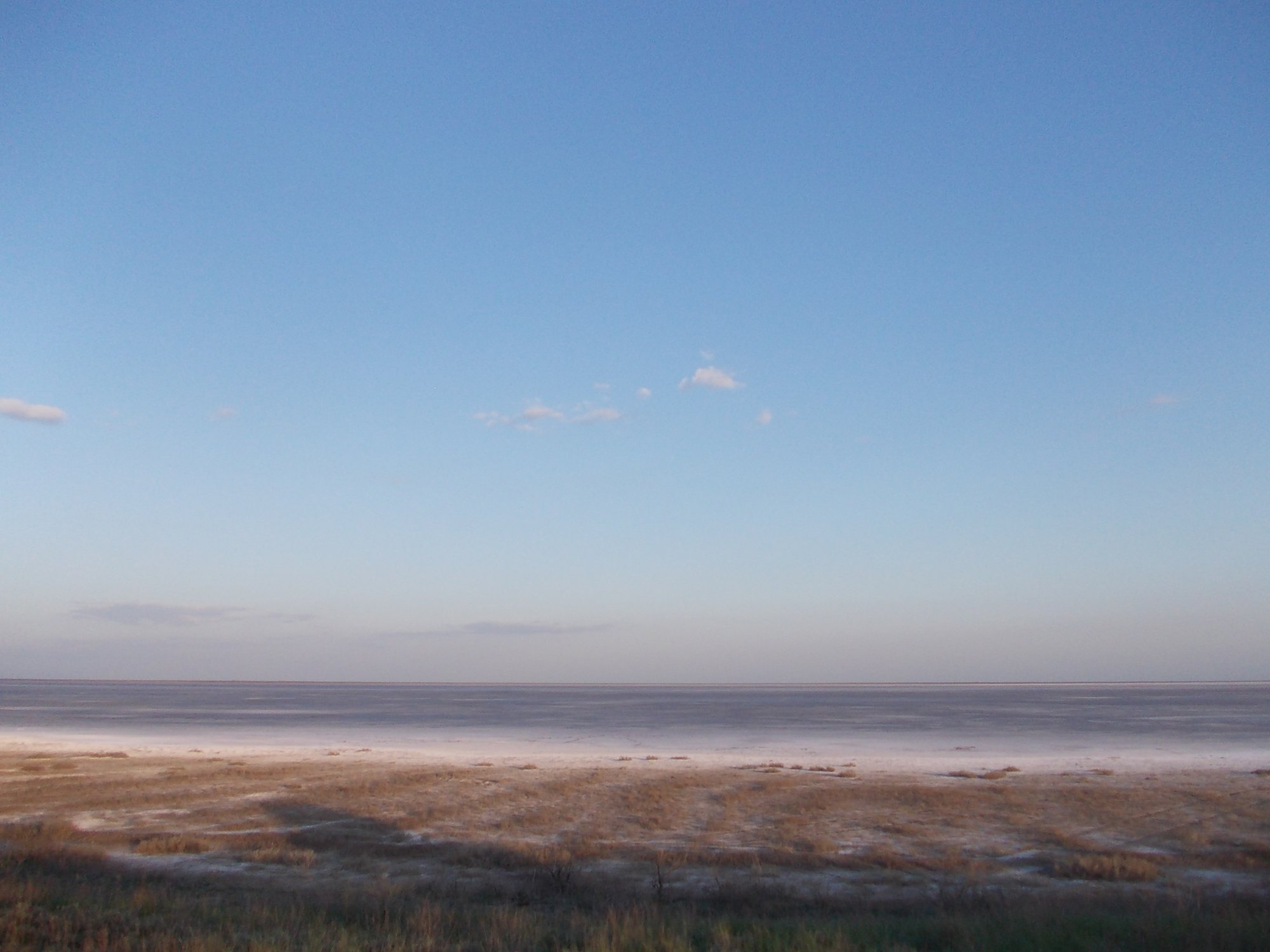 DSCN6444.JPG