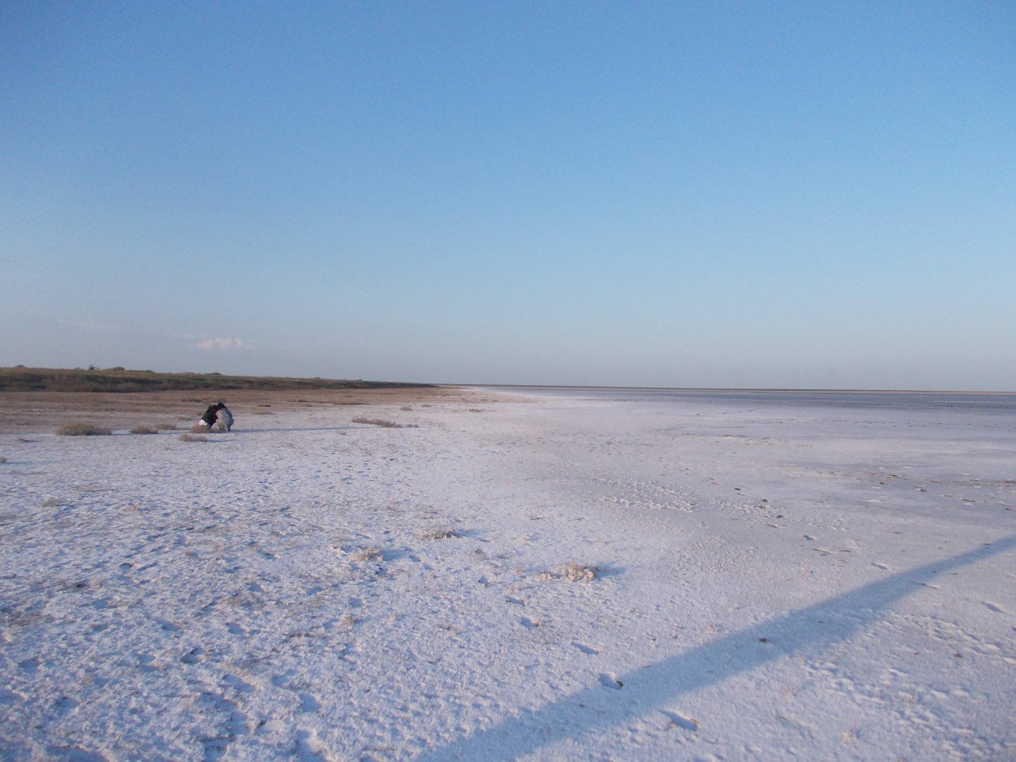 DSCN6434.JPG