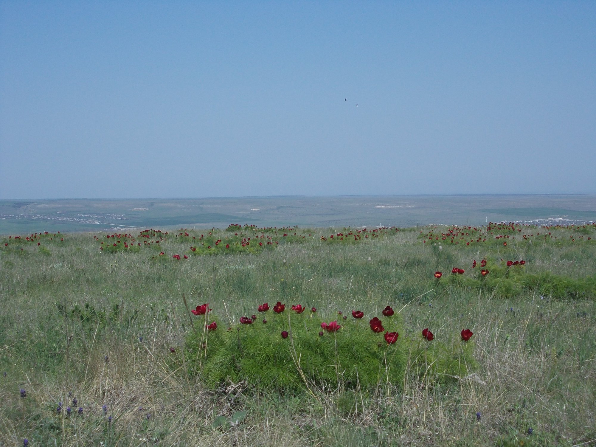 DSCN2684.JPG