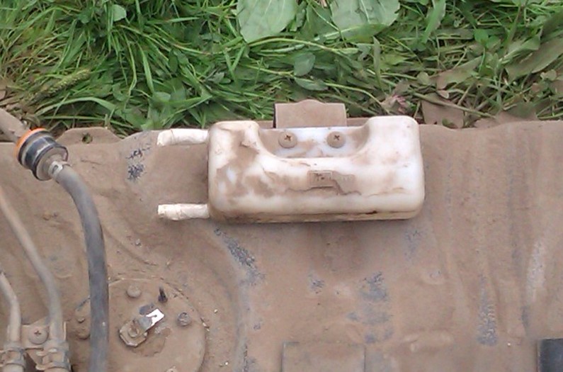 IMAG0467.jpg