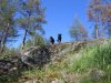dogs on rock.jpg