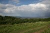 IMG_1182-mini.jpg