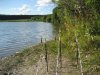 Деревня 2007 036.jpg