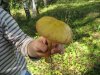 Деревня 2007 096.jpg