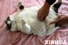 кот холодильник-3.jpg