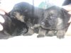 DSC01230.JPG