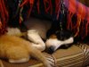 DSC09121.JPG
