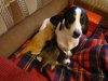 DSC09179.JPG