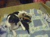 DSC06542.JPG