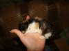 DSC08668.JPG