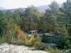 user16920_pic4335_1257452494.jpg