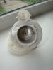 DSC04982_resize.JPG