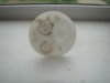 DSC04978_resize.JPG