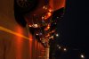 DSC01167.jpg