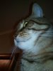 IMG_20171122_221454.jpg