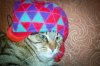 IMG_20180115_204336-2.jpg