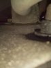 IMG_20171231_122614.jpg