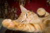 DSC05188-1.jpg