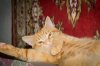 DSC05192-1.jpg