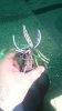 IMG-20180302-WA0056.jpeg
