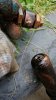 IMG-20180630-WA0049.jpeg