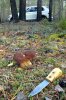 20180912_104700.jpg